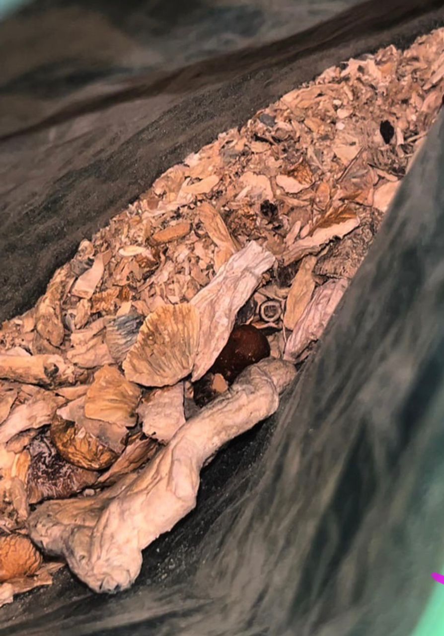 psilocybin mushrooms in uk