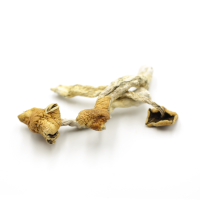 Malabar Coast Mushrooms