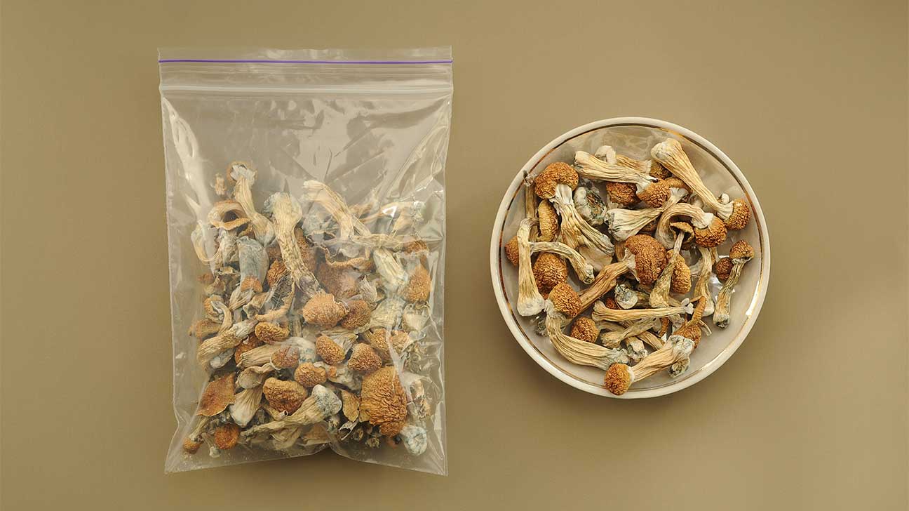 Liberty Cap Mushrooms