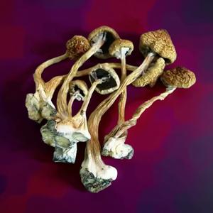 African Aphrodisiac