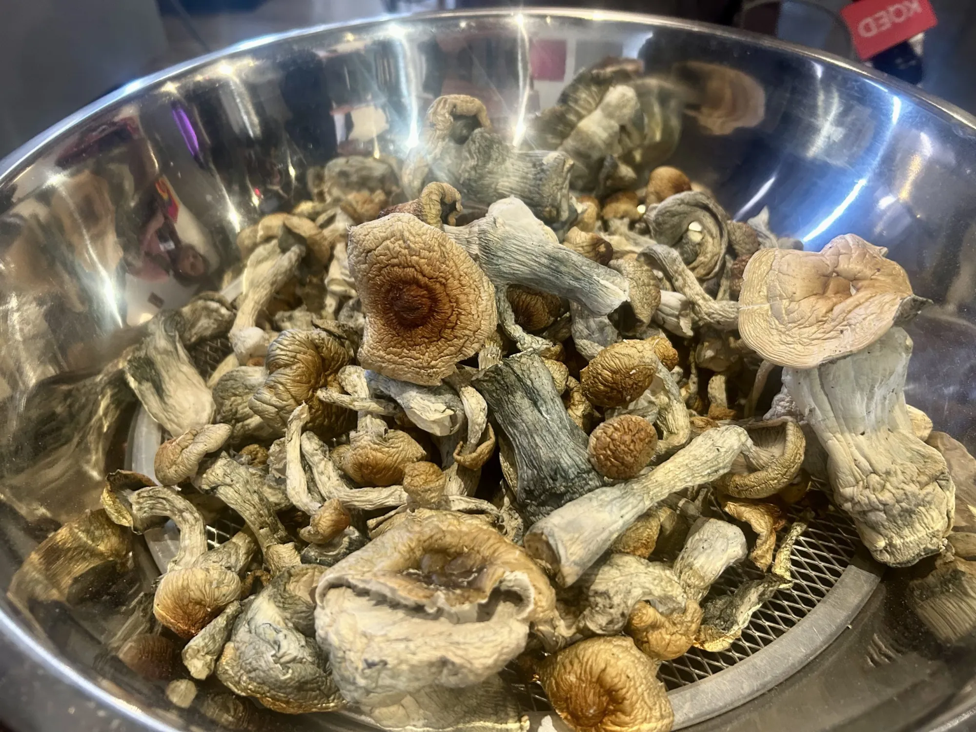 Golden Teacher Mushrooms