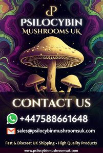 contact psilocybin mushrooms uk