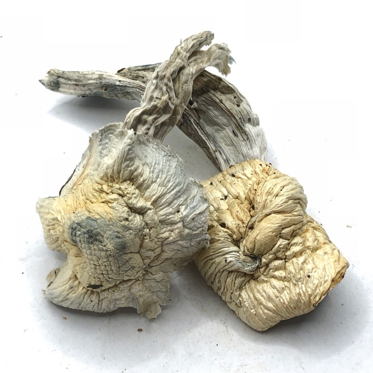 UK Shrooms For Sale